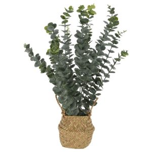 עציץ נוי אקליפטוס בסל 22X22X50 ס"מ עציץ נוי אקליפטוס בסל 22X22X50 ס"מ